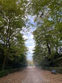 A Royal Escape: Visiting the Château de Saint-Germain-en-Laye