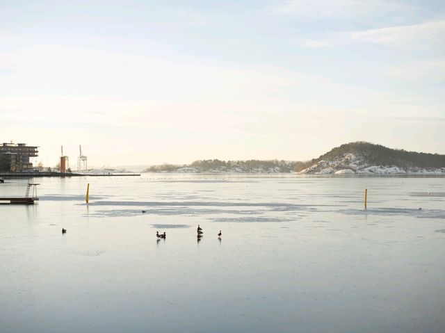 ❄️ Winter in Oslo: Where City Life Meets Nordic Calm