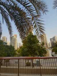 ✨ Discover Dubai: A City of Contrasts and Wonders