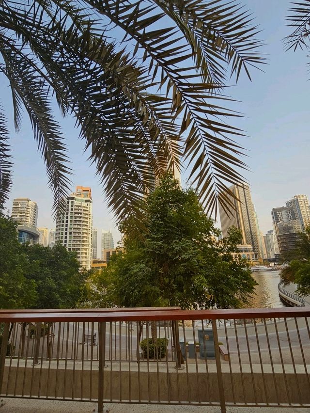 ✨ Discover Dubai: A City of Contrasts and Wonders