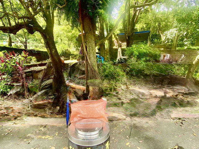 中和圓通寺連走土城清水大尖山