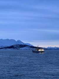 追寻极光的北极之心｜特罗姆瑟 Tromsø