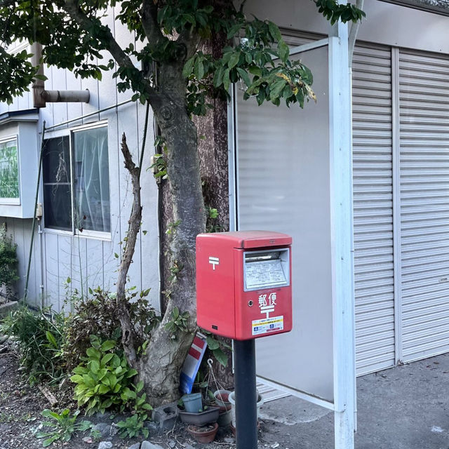 Tokyo Like a Local: Hidden Corners & Everyday Magic Tokyo Like a Local: Hidden Corners & Everyday Magic