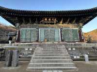 South Korea Itinerary 4: Daegu's Hidden Gem Getaway