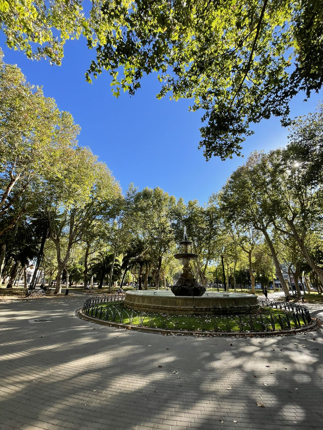 The Beauty of Córdoba: History, Streets & Sunlight 🏛️🌸✨