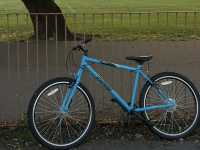 🌳 Discover Roundwood Park, Brent – A Hidden Green Gem in London! 🌳