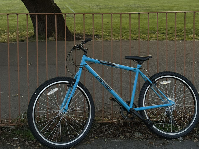 🌳 Discover Roundwood Park, Brent – A Hidden Green Gem in London! 🌳