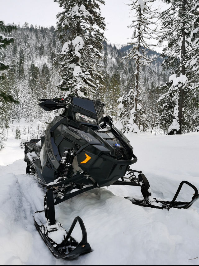 Республика Мамай