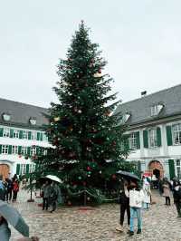 A Magical Night at Weihnachtsmarkt Münsterplatz, Basel 🇨🇭