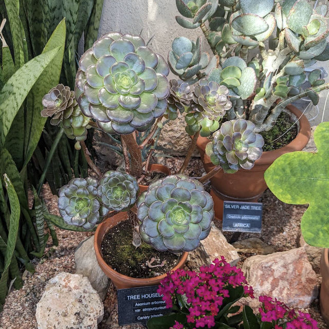 Muttart Conservatory