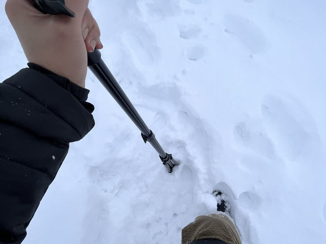 Switzerland! Switzerland!