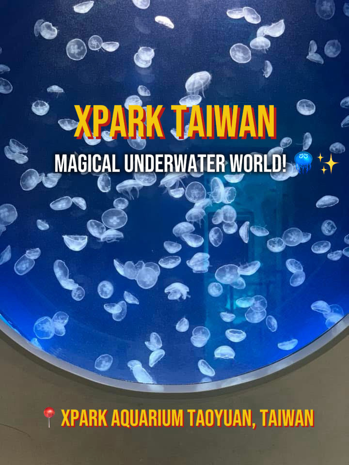 Xparkのやんちゃなアザラシと幻想的なクラゲ 。 | Trip.com 桃園