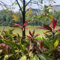 Manting Park - expect the unexpected 