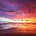 pyralis_7285