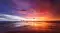 pyralis_7285