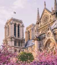Paris Notre-Dame Cathedral | The Fated Disappearance