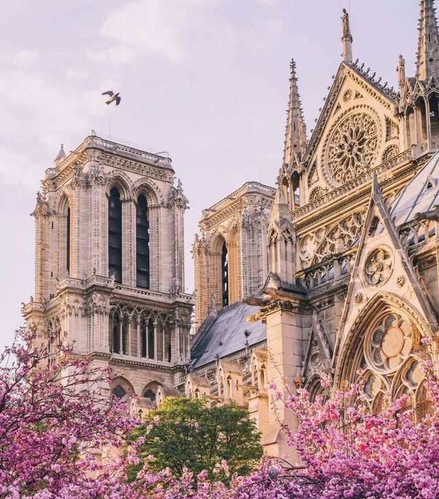 Paris Notre-Dame Cathedral | The Fated Disappearance