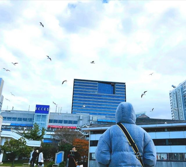 Odaiba Kaihinkoen (Odaiba Seaside Park)