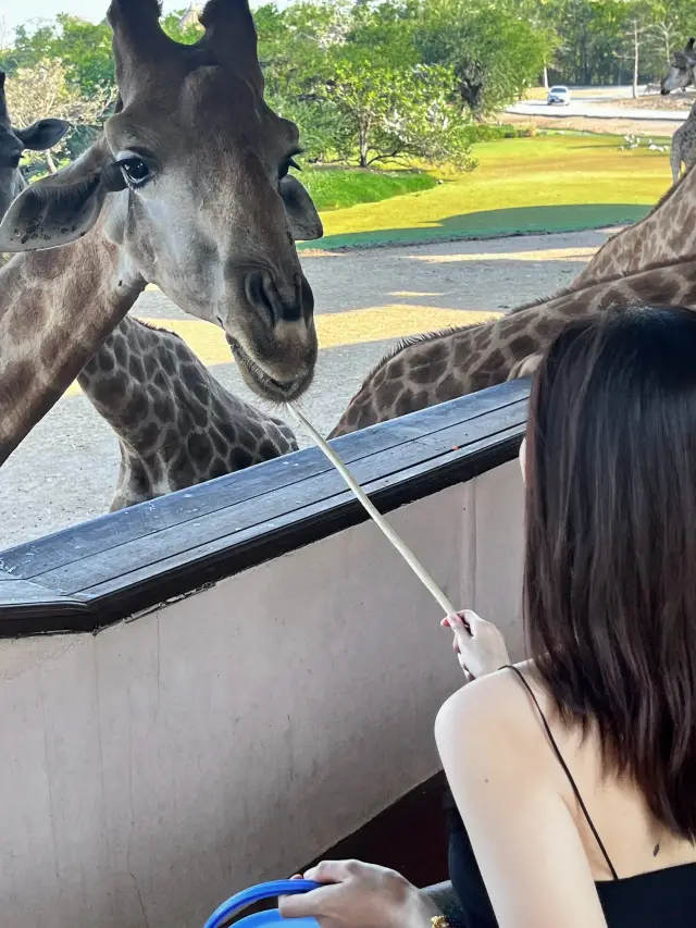 バンコク野生動物世界ガイド