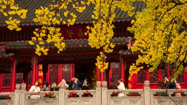 秋に南京の毘盧寺に銀杏を見に来てください