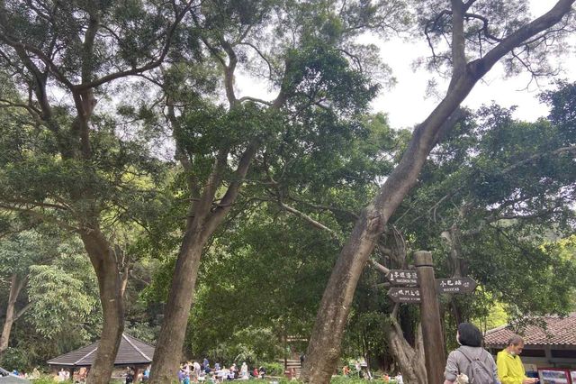 石蔭上針山．道風山尋十字架