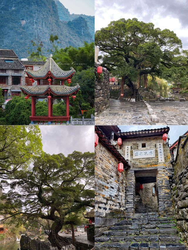 赴廣西版去尋找那個有風的地方