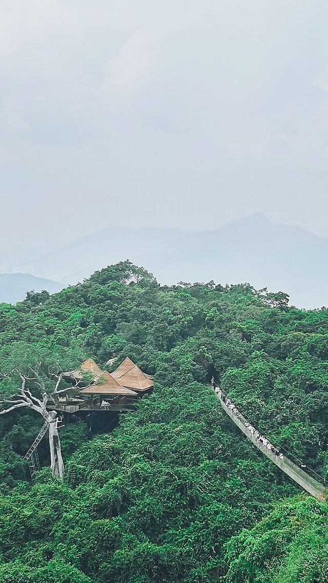 亞龍灣熱帶森林公園攻略