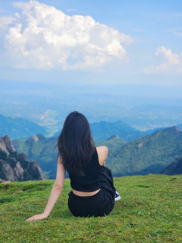 探秘蘆芽山馬倫草原：原始森林中的奇幻之旅