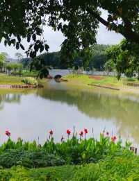 佛山遛娃好去處——免費寶藏公園中山公園！