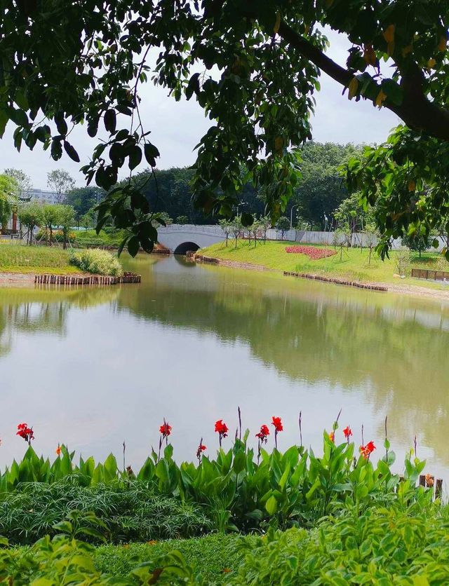 佛山遛娃好去處——免費寶藏公園中山公園！