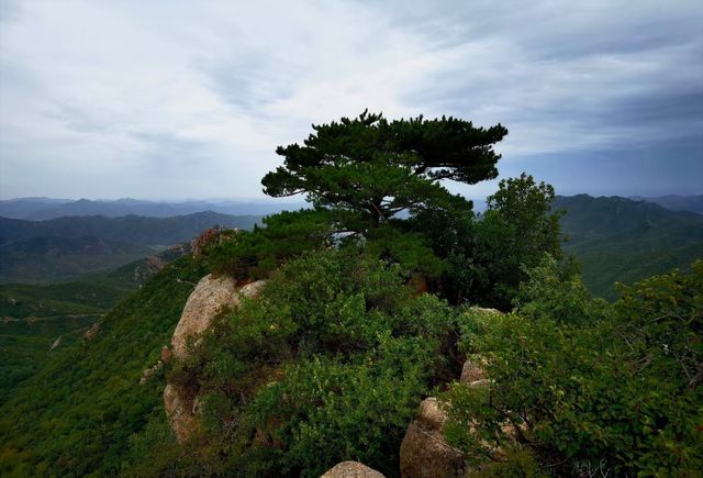 遼寧北票大黑山國家森林公園