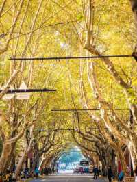 人生建議:12月逛完這些小馬路再離開上海!