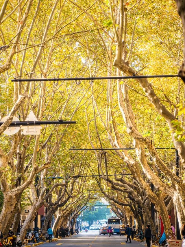 人生建議:12月逛完這些小馬路再離開上海! 人生建議:12月逛完這些小馬路再離開上海!