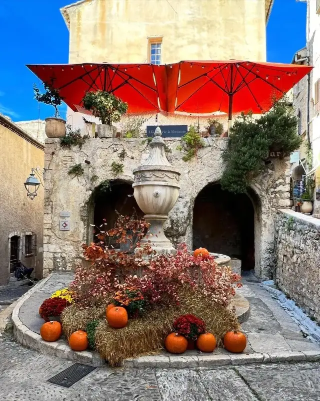 The slow life in Provence!