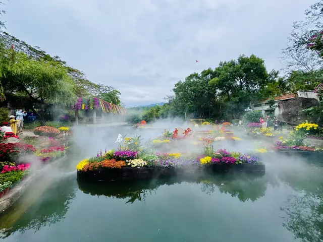 深圳の菊花展は明日開催されます
