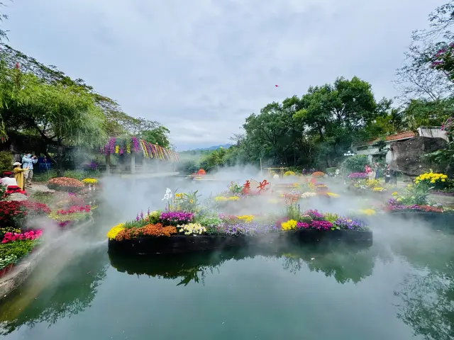 The Shenzhen Chrysanthemum Exhibition will start tomorrow