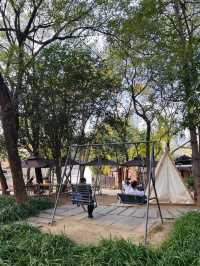 武漢小眾賞水杉地,讓你擺脫城市疲憊