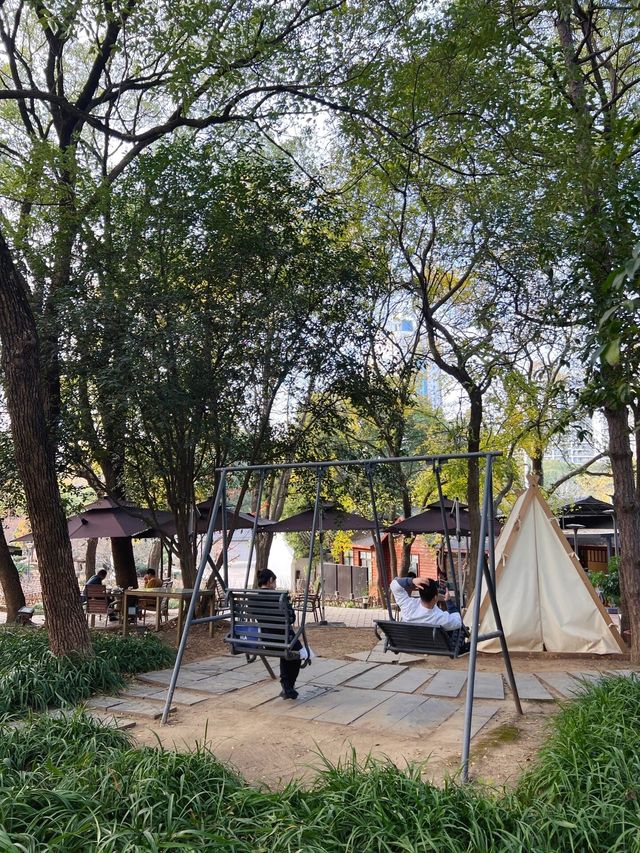 武漢小眾賞水杉地,讓你擺脫城市疲憊 武漢小眾賞水杉地,讓你擺脫城市疲憊