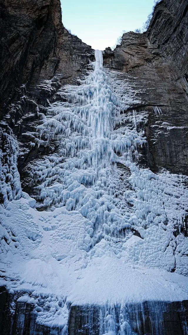 정주/세계에서 가장 아름다운 거대한 크리스마스 트리 얼음 폭발