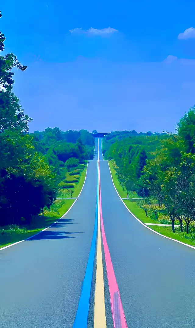 道路の風景