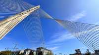 蒂蘭特斯斜拉橋Puente de los Tirantes