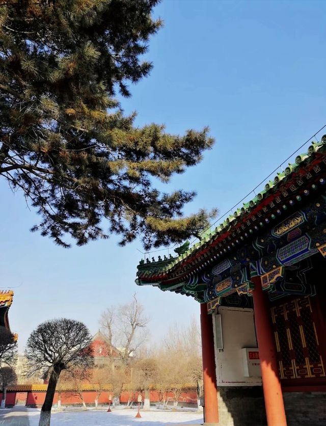 遊在哈爾濱之文廟
