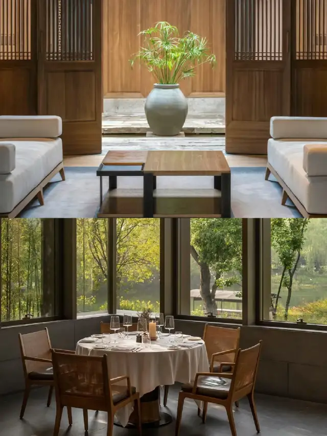 Yangyun Aman | I found a paradise in Shanghai