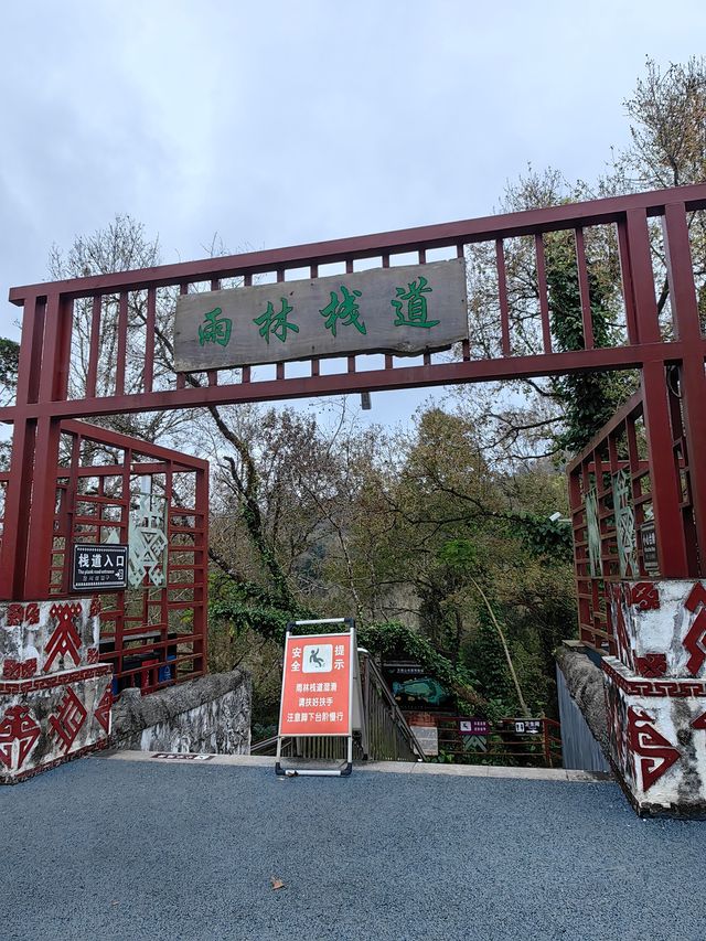 水滿鄉的熱帶雨林公園