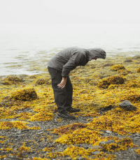 Uncover Pictish history at beautiful Portmahomack