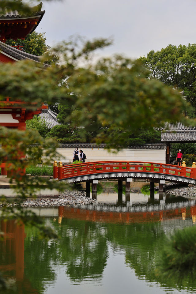 宇治平等院｜打卡日幣10元硬幣背面景點🪙全攻略