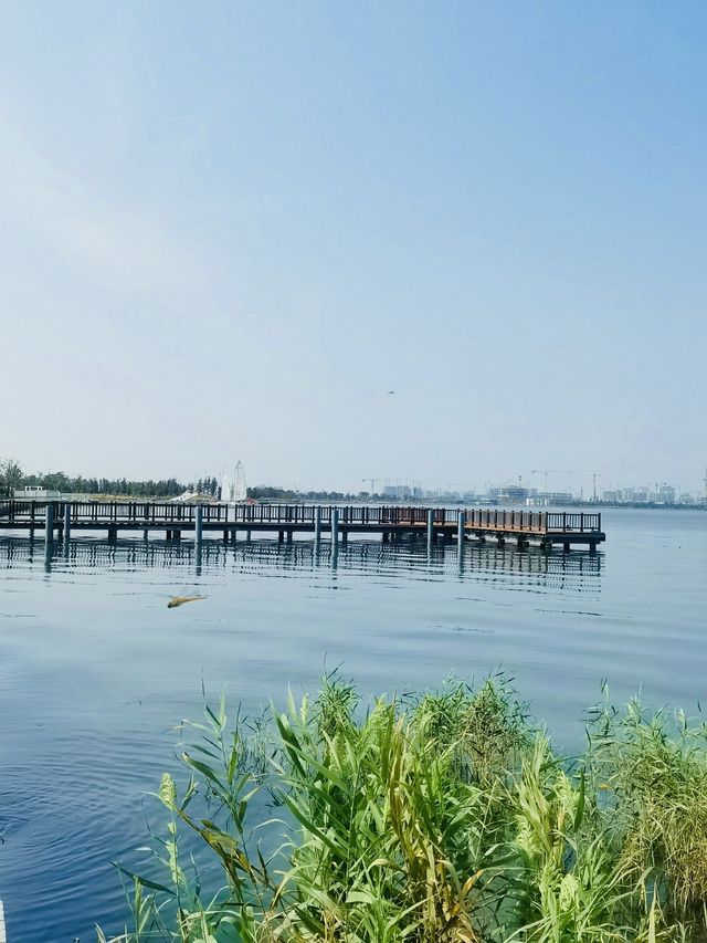 滴水湖|日出又日落 盛夏晚晴風