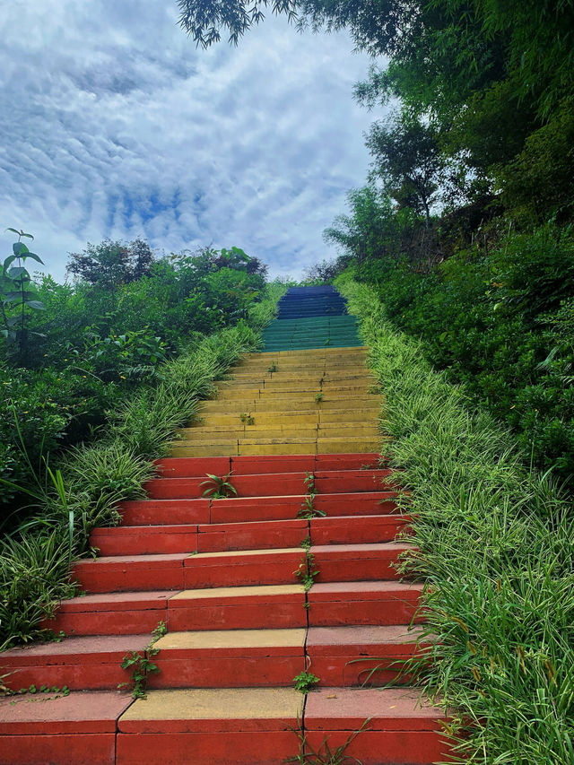 你想看什麼樣的風景，我們一起來感受大自然吧！