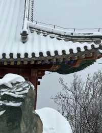 北京雪景｜香山雪景