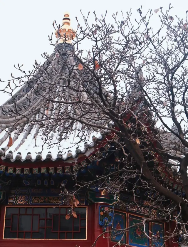 Come to Guangren Temple in Xi'an to have porridge on Laba Festival